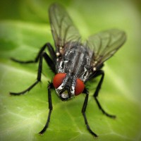 /album/quebobclita/photolia-a01-jpg/