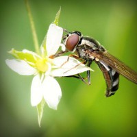 /album/quebobclita/photolia-a02-jpg/