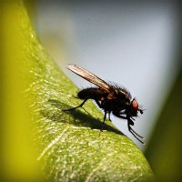 /album/quebobclita/photolia-a04-jpg/